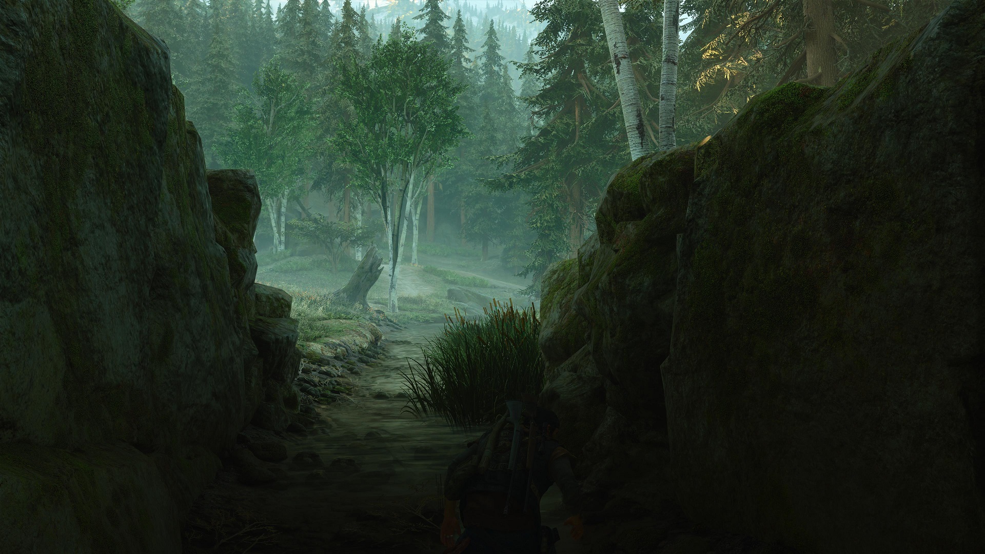 Days Gone Remastered 20250518223407