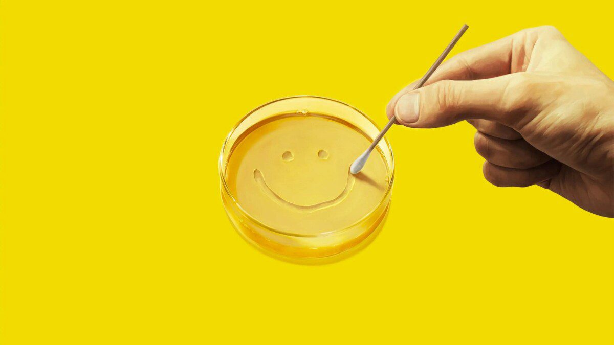 نقد سریال Pluribus (پلوریبوس) 2 نقد سریال Pluribus