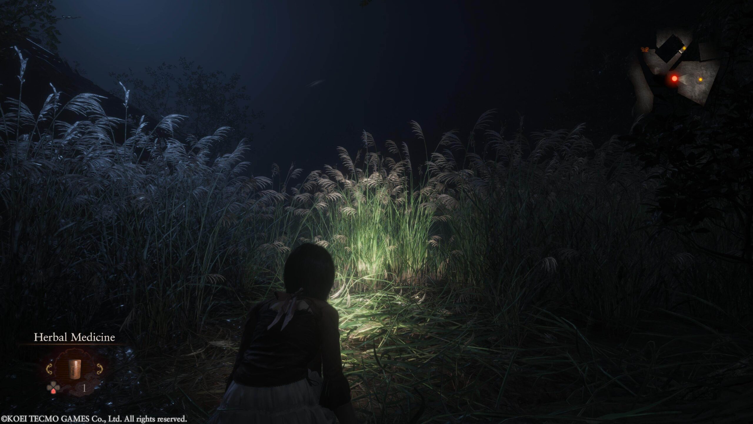 گیم پلی - Fatal Frame II: Crimson Butterfly Remake