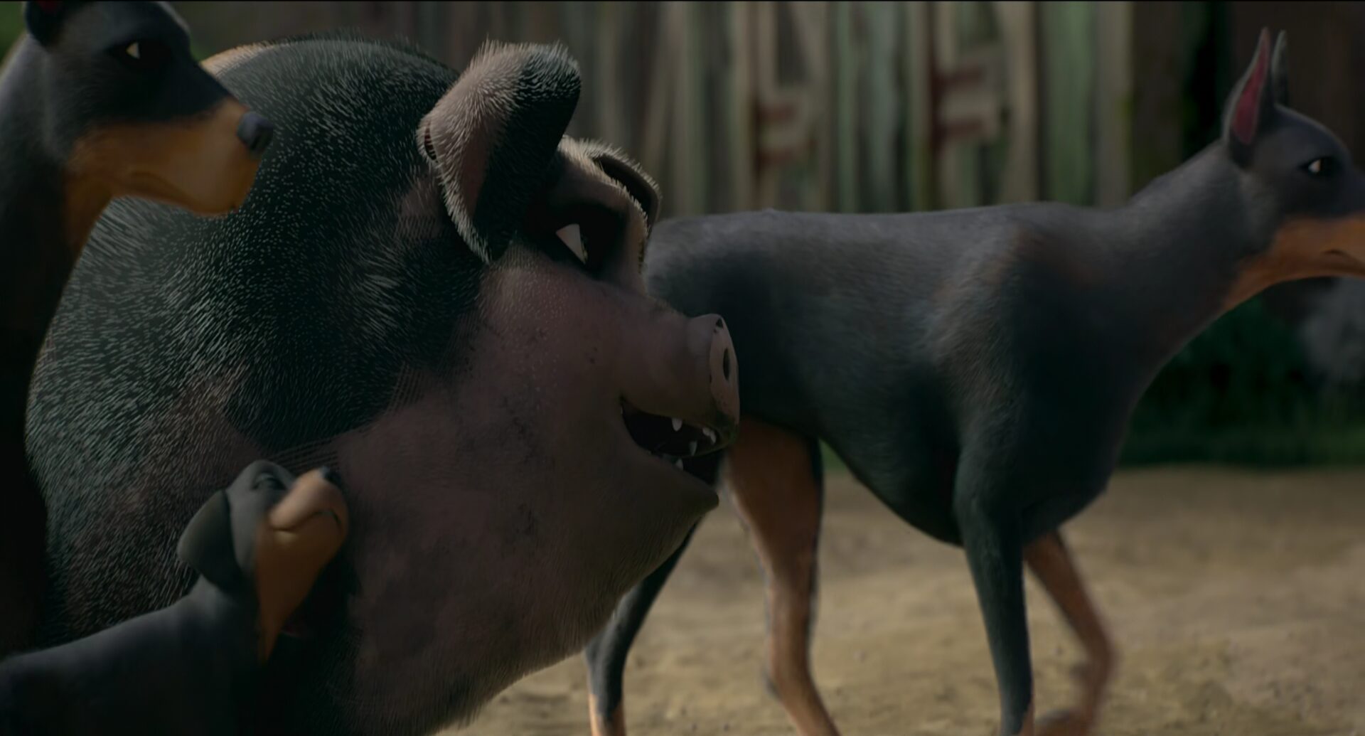 نقد و بررسی انیمیشن Animal Farm(مزرعه حیوانات) ۲۰۲۵ 4 Animal Farm